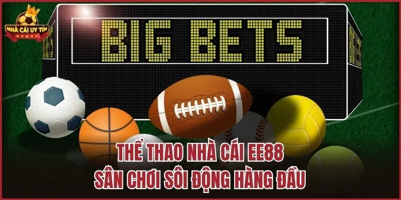 Thể thao nhà cái EE88 - Sân chơi sôi động hàng đầu